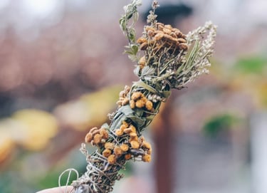 co zamiast palo santo i białej szałwii czy palo santo jest legalne