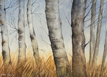 Birch trees painted in Watercolour