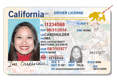 a woman's driver's license