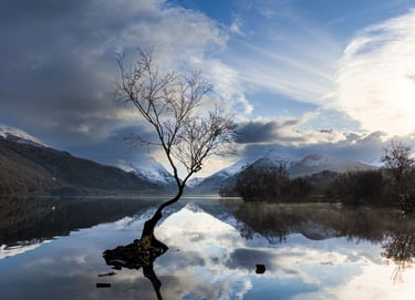 Lone birch tree reflecting in Llyn Padarn lake with snow-capped Snowdonia mountains under a cloudy sky.