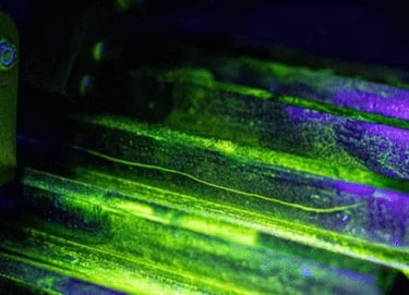 Partículas Magnéticas | Nivel 1