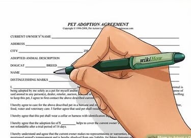 Adoption agreement letter being filled out