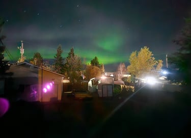 A bright backyard with northern lights in the shade of green in the sky