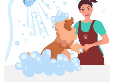 Professional pet groomers Doha
