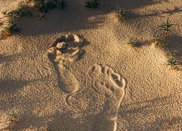 Réflexologie plantaire à Laillé
