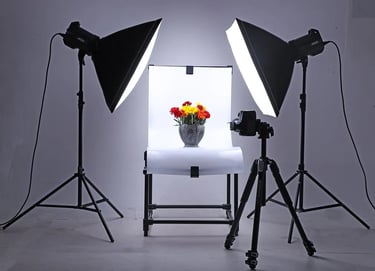 a photo of a flower arrangement in a studio