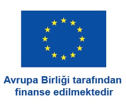 a flag of the european union and the european union