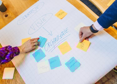 Strategie en inrichting van organisaties