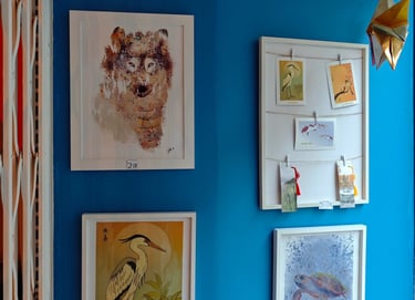 Devanture vitrée face à la boutique Julid'y Illustration 