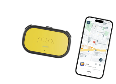 Purr GPS device with Mobile App