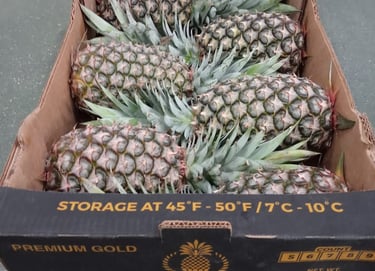 piña en caja. fruta tropical de mexico