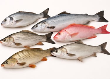 Frozen fish assortment display featuring whole fish varieties for halal seafood export