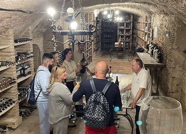 Cata vinos en Bodega privada Toledo
