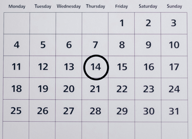 NAPLAN YEAR 3 Calendar