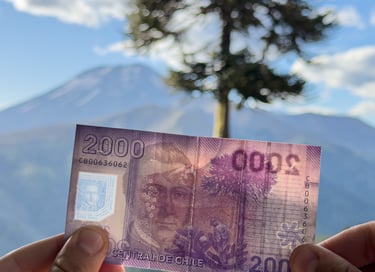 Paisaje de la Reserva Nacional Nalcas en Lonquimay comparado con la imagen del billete de dos mil pe