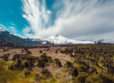 Vista panorámica del Volcán Lonquimay nevado rodeado de bosque nativo y araucarias en la Araucanía A