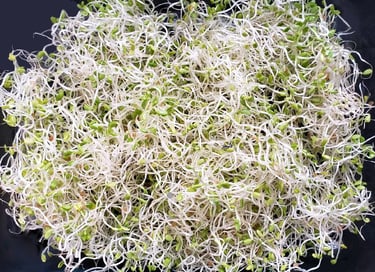 Sprouts