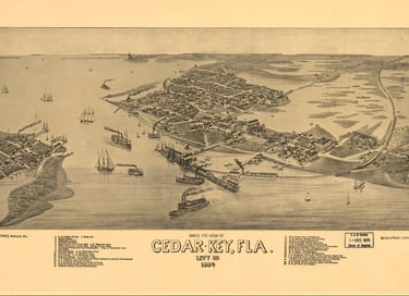 A bird’s eye view of the Cedar Keys, with Atsena Otie Key at left, in 1884.