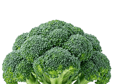 Közelkép friss, zöld brokkoliról.