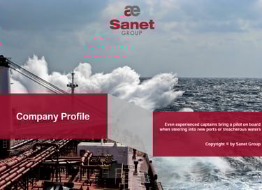Sanet Company Profile 2024