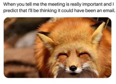 From Memes to Millions