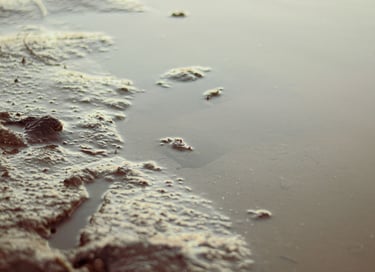 fotografia de albúfera y agua. Mar chiquita
