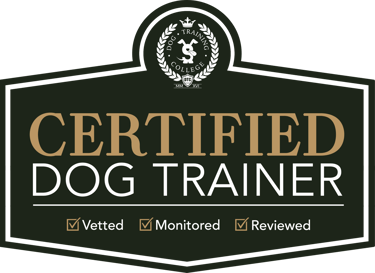 Certified Dog Trainer