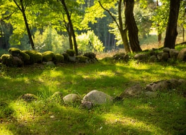 samanoti akmenys žolėtoje aikštelėje