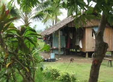 A hut-style abode surrounded by greenery.