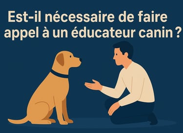 education nécéssaire