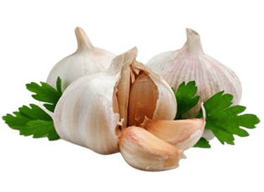garlic parsley