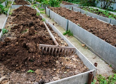 a garden bed filled with a good soil mix
