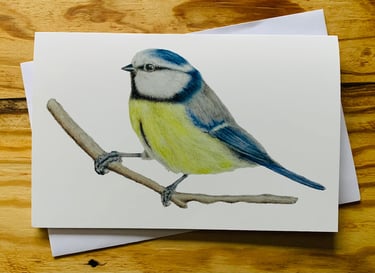 Blue tit