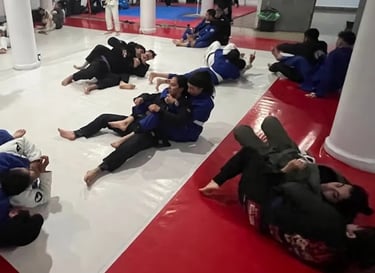 Entrenamiento de jiu jitsu en la narvarte en sharks academy training and martial arts