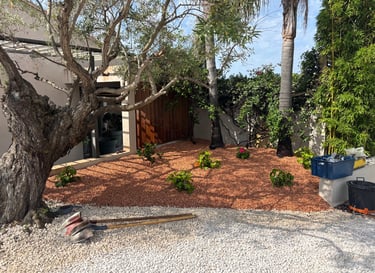 a backyard garden with a tree in the foreground