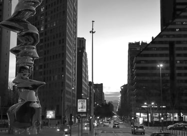 8 clasificado BN febrero 2026