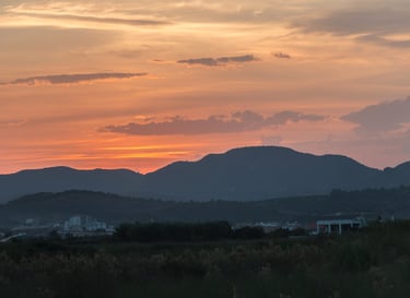 Trabajo del Verano 2023 - 19
