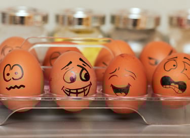 Zeytinburnu Mono Psikoloji