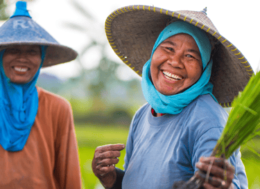 Direct sourcing ginger and turmeric from Indonesian farmers for export