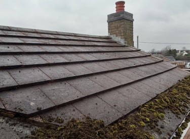 a roof having moss removed in malvern