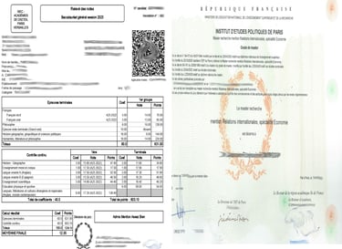Professional academic document translation services by Lang Lumin