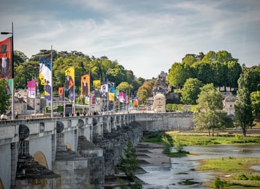 Superbe Location dans le centre de Tours