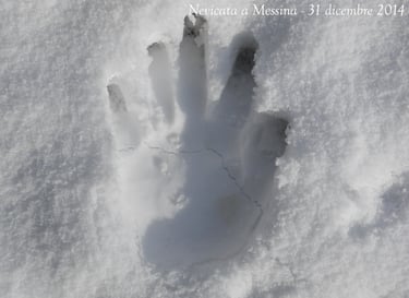 Impronta di mano sulla neve. Neve caduta a Messina anche a bassa quota il 31 dicembre 2014