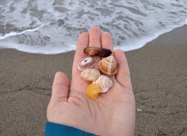 A person holding a shellfish in their hand