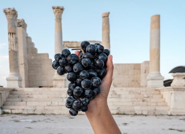 Denizli Üzümü
