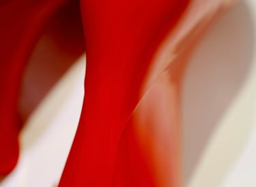 The Red Rainboots In White 