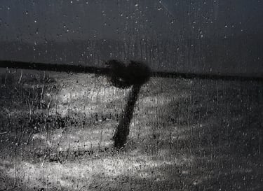 Back from Smirne. Grey Knob Figure  on ship's window