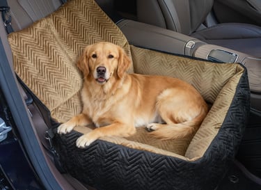 Car Dog Bed