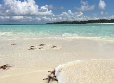 Starfish 3D2N Expedition Balabac Palawan