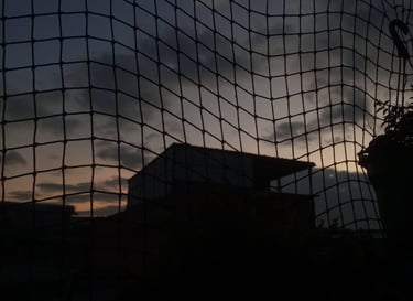 Malla en una ventana con plantas colgadas